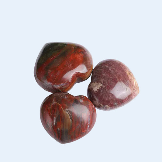 Polished Natural Petrified Wood Heart Crystals Wholesale