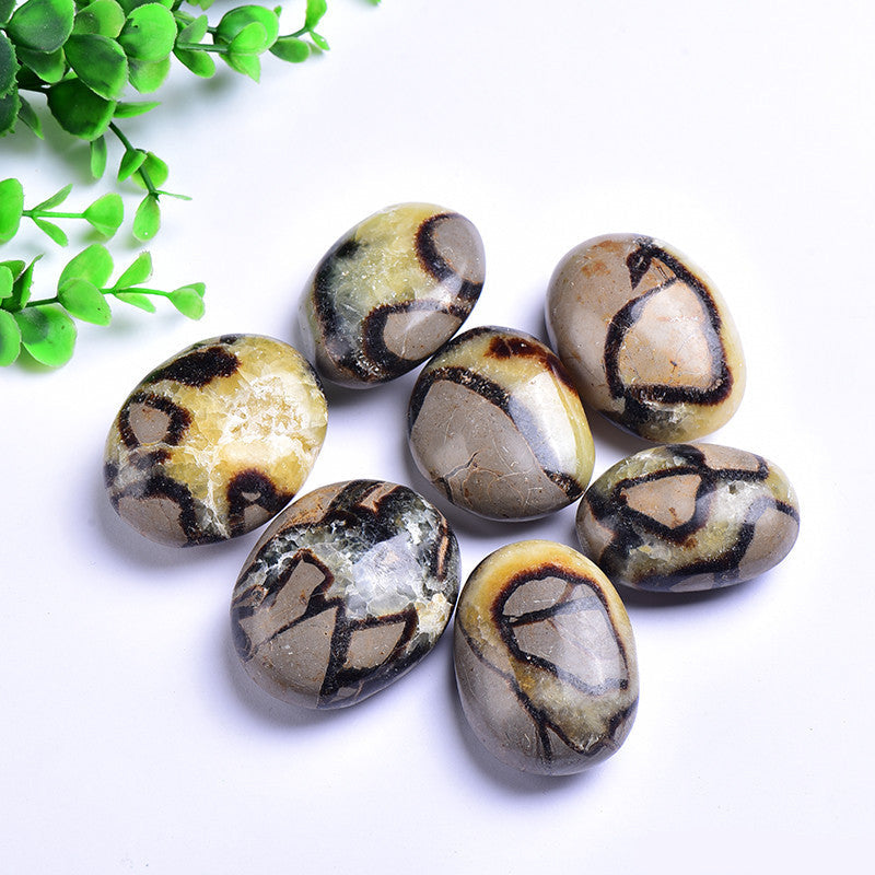 Natural polished septarian palm stones, dragon stone with unique vein patterns for wholesale crystal supply