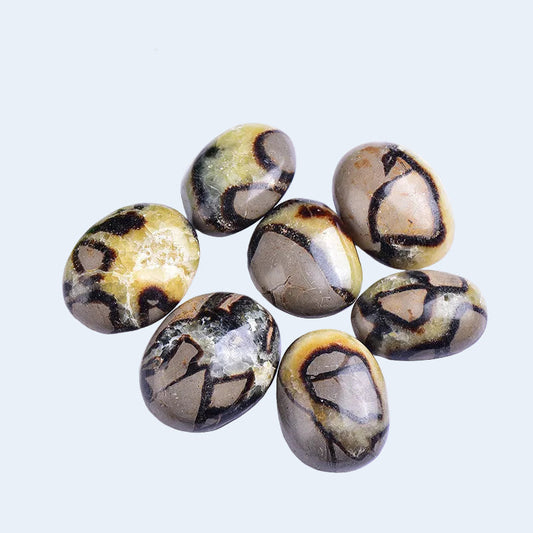 Natural polished septarian palm stones, dragon stone with unique vein patterns for wholesale crystal supply