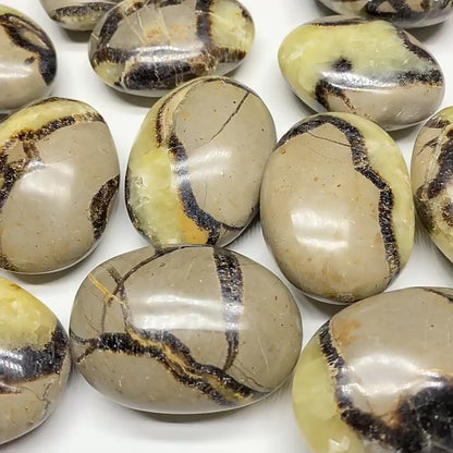 Wholesale septarian dragon stone palm stones, polished natural mineral palm crystals