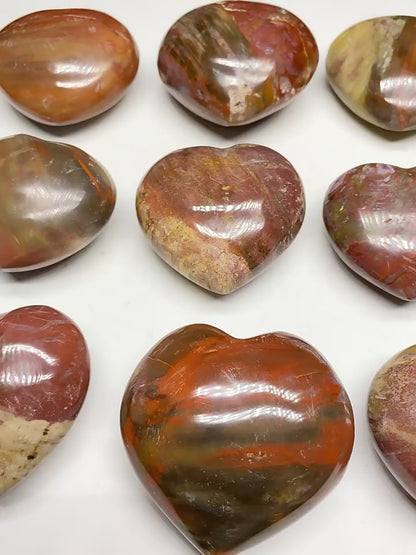Bulk Petrified Wood Heart Worry Stones Natural Fossil Hearts
