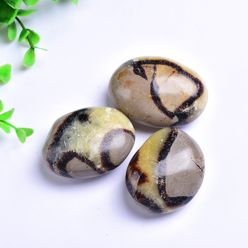 Natural vein pattern detail on septarian dragon stone palm stone, healing crystal specimen