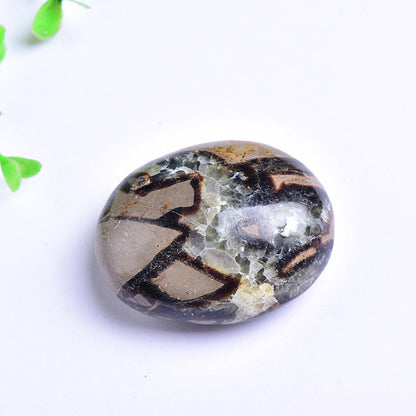 Close up of septarian dragon stone palm stone, natural patterned polished worry stone